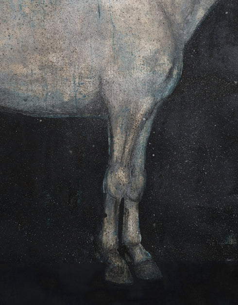 Horse | Limited Edition Prints